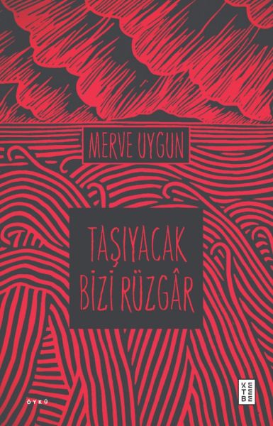 tasiyacak-bizi-ruzgar