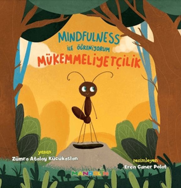 mindfulness-ile-ogreniyorum-mukemmelliyetcilik