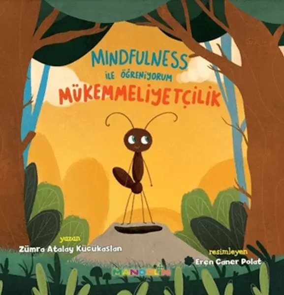 mindfulness-ile-ogreniyorum-mukemmelliyetcilik