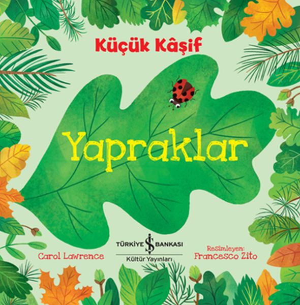 kucuk-kasif-yapraklar