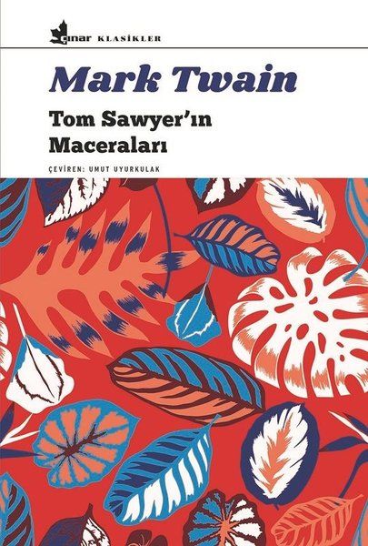 tom-sawyer-in-maceralari-196576