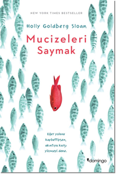 mucizeleri-saymak