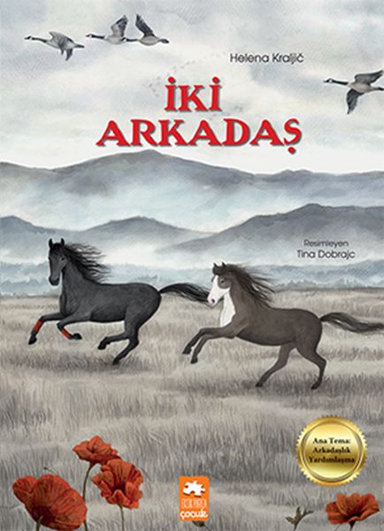 iki-arkadas