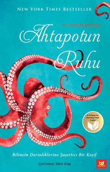 ahtapotun-ruhu