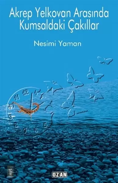 akrep-yelkovan-arasinda-kumsaldaki-cakillar