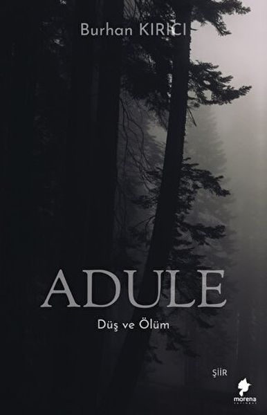 adule-dus-ve-olum