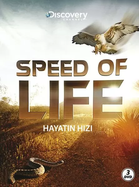 speed-of-life-hayatin-hizi