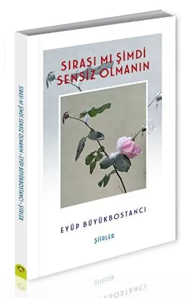 sirasi-mi-simdi-sensiz-olmanin