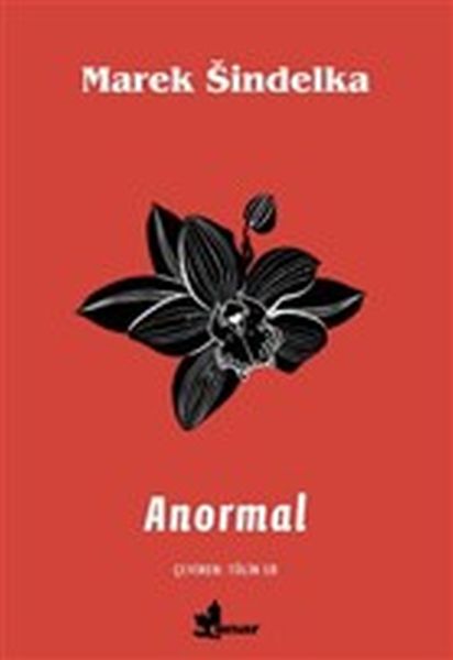 anormal