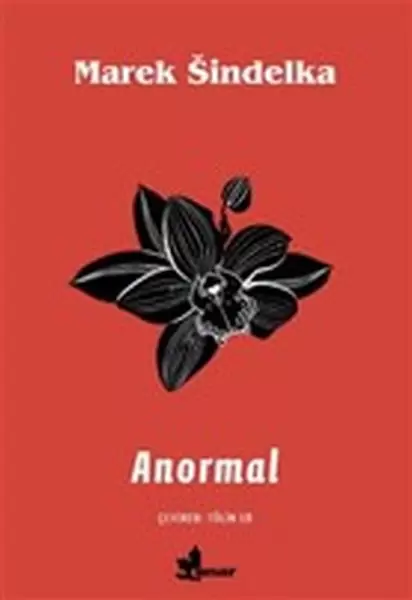 anormal