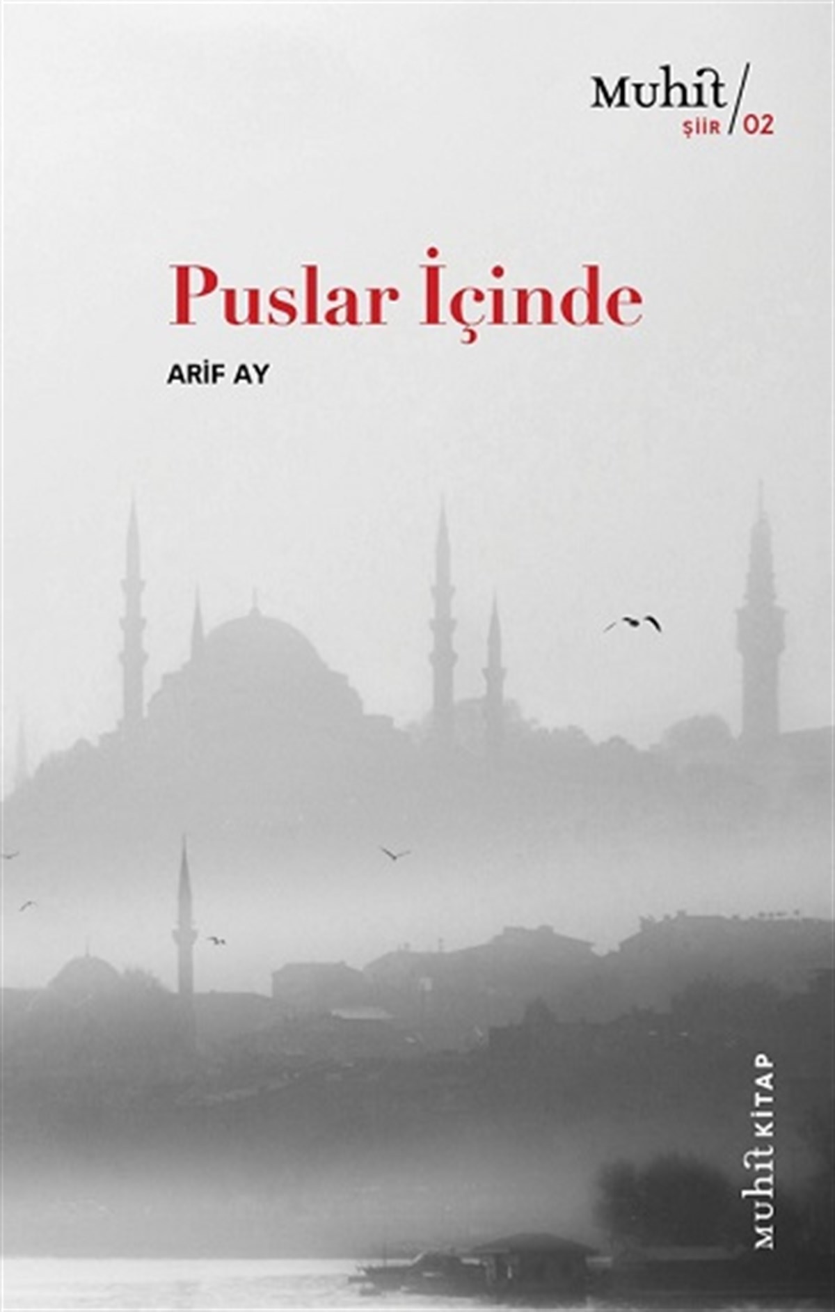 puslar-icinde