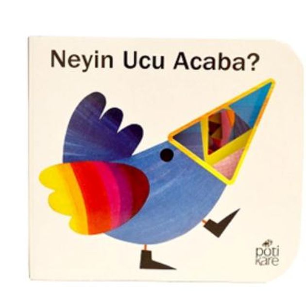 neyin-ucu-acaba