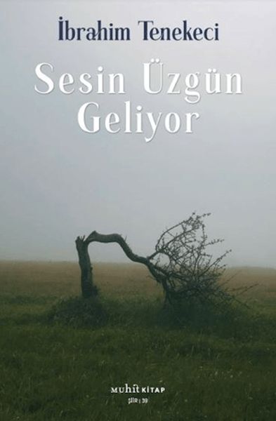 sesin-uzgun-geliyor