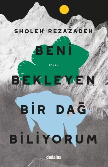 beni-bekleyen-bir-dag-biliyorum