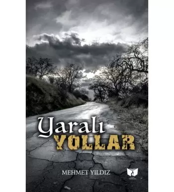 yarali-yollar-mehmet-yildiz
